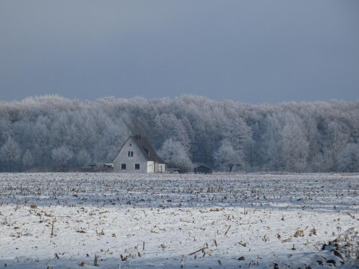 Ferienhaus Mit 2 Fewo In Mecklenburg Leilighet Wesenberg Eksteriør bilde