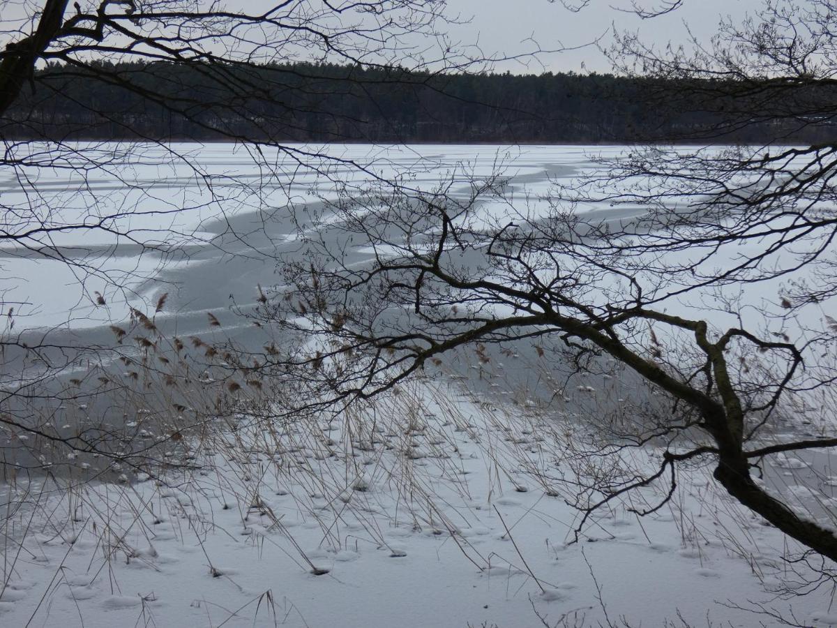 Ferienhaus Mit 2 Fewo In Mecklenburg Leilighet Wesenberg Eksteriør bilde