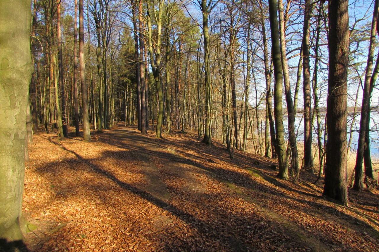 Ferienhaus Mit 2 Fewo In Mecklenburg Leilighet Wesenberg Eksteriør bilde